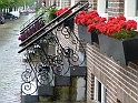Olanda 2011  - 37
